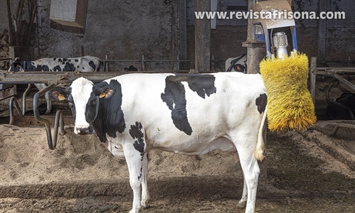 #RealidadGanadera: La salud y el bienestar animal estn...
